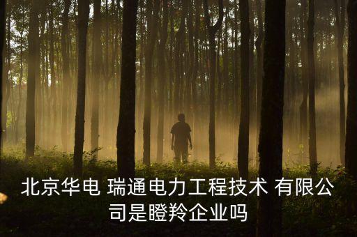 北京華電 瑞通電力工程技術 有限公司是瞪羚企業嗎