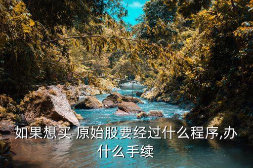 如果想買 原始股要經過什么程序,辦什么手續