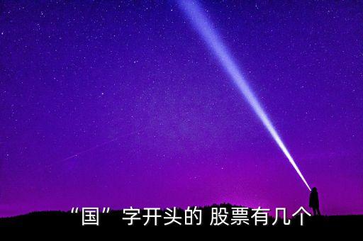 國有及國有控股企業股票,股票怎么看是國有還是非國有