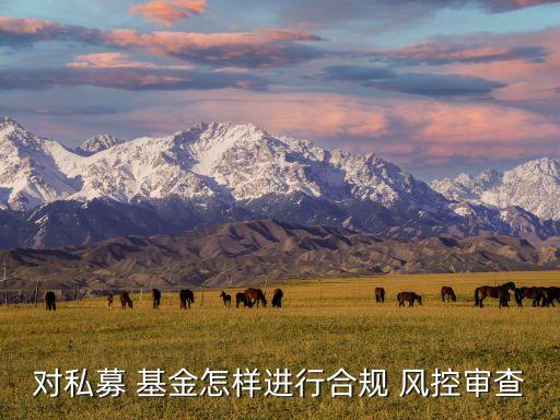 基金風控指標,基金公司風控部門做什么