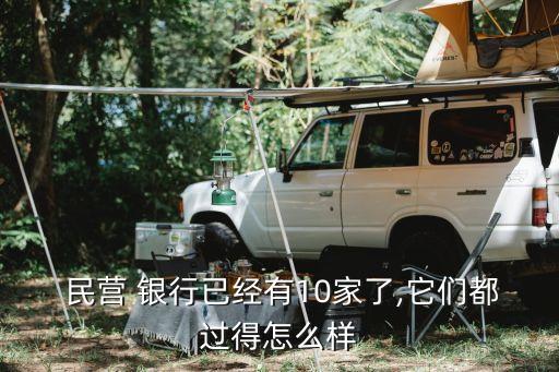 民營銀行特色發展,我國民營銀行的發展現狀