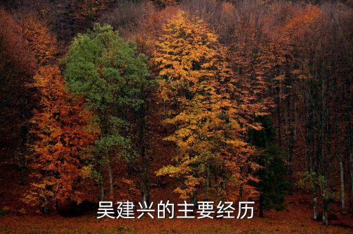 吳建興的主要經歷