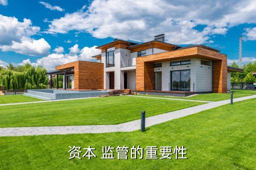 資本 監管的重要性