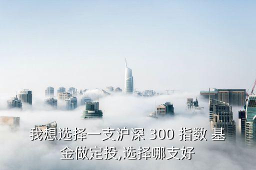 我想選擇一支滬深 300 指數 基金做定投,選擇哪支好