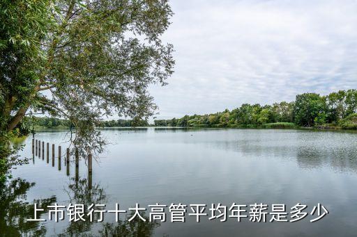 蘇南農村商業銀行董事長行長收入,農村商業銀行行長是什么級別