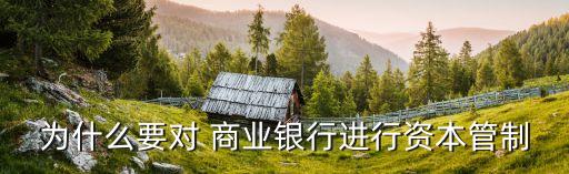 為什么要對 商業銀行進行資本管制