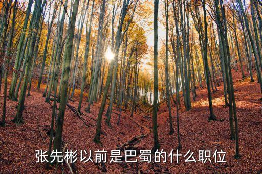 創新集團董事長