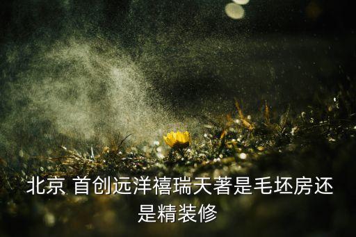  北京 首創遠洋禧瑞天著是毛坯房還是精裝修