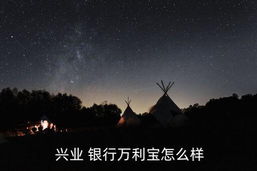 興業銀行最大特色