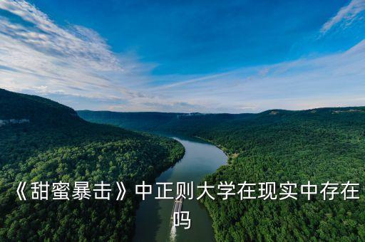 《甜蜜暴擊》中正則大學在現實中存在嗎