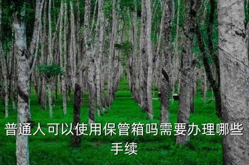 普通人可以使用保管箱嗎需要辦理哪些手續