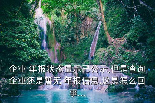 企業 年報狀態顯示已公示,但是查詢企業還是暫無 年報信息,這是怎么回事...