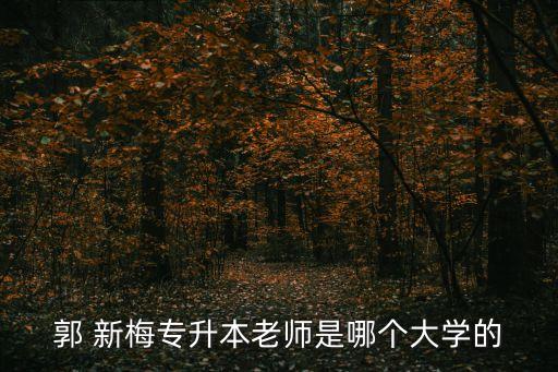 郭 新梅專升本老師是哪個大學的