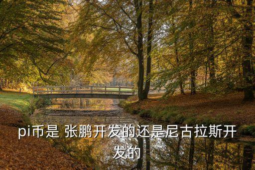 pi幣是 張鵬開發的還是尼古拉斯開發的