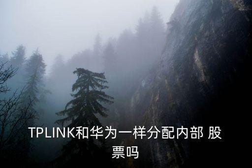 TPLINK和華為一樣分配內部 股票嗎