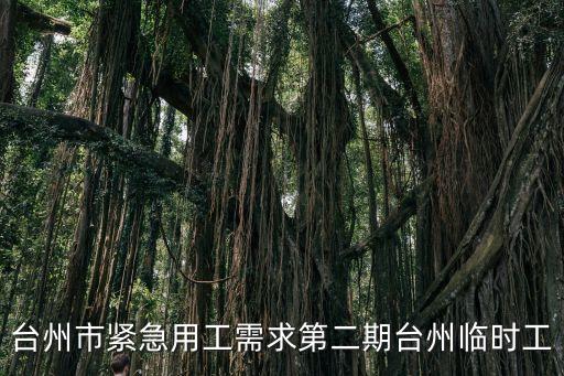 溫嶺經濟開發區實業有限公司,溫嶺高寶印刷實業有限公司
