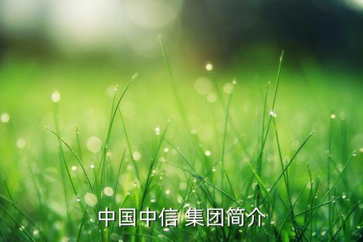 中國中信 集團(tuán)簡(jiǎn)介