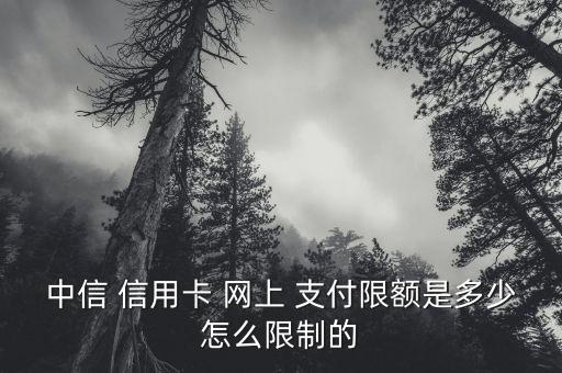 中信銀行信用卡網上支付算刷卡嗎,郵政信用卡網上支付算刷卡嗎