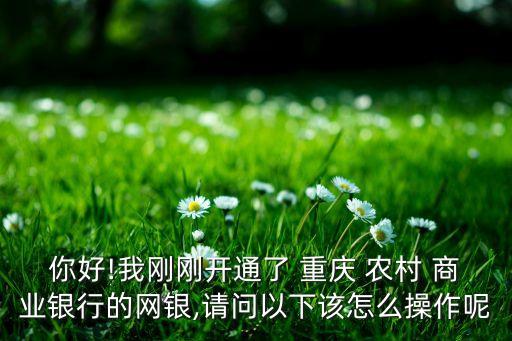 你好!我剛剛開通了 重慶 農村 商業銀行的網銀,請問以下該怎么操作呢