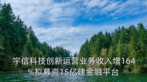  宇信科技創新運營業務收入增164%擬募資15億建金融平臺