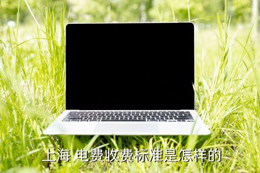  上海 電費收費標準是怎樣的