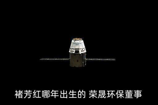 褚芳紅哪年出生的 榮晟環保董事