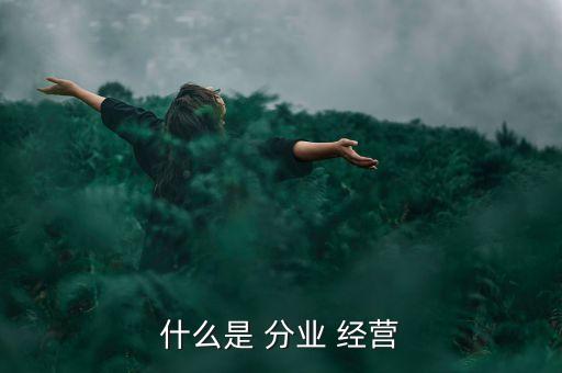 什么是 分業 經營