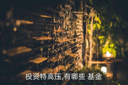 新華策略精選股票基金,新華行業龍頭股票基金