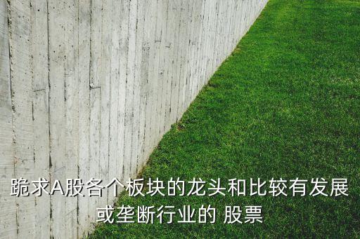 跪求A股各個板塊的龍頭和比較有發展或壟斷行業的 股票