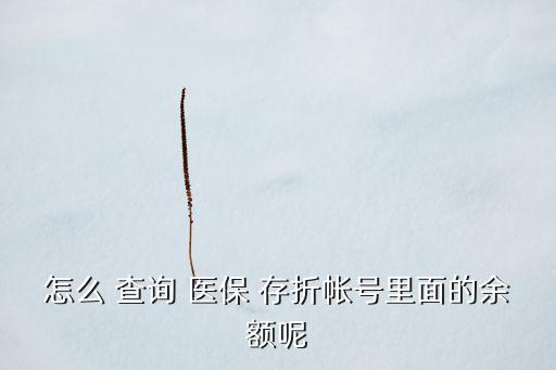 怎么 查詢 醫保 存折帳號里面的余額呢