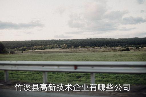 竹溪縣高新技術企業有哪些公司