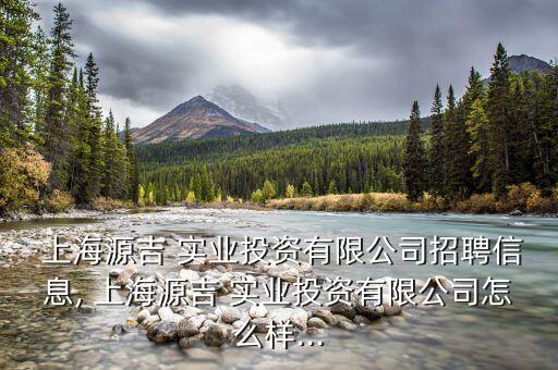 上海付收實業,上海精智實業好不好