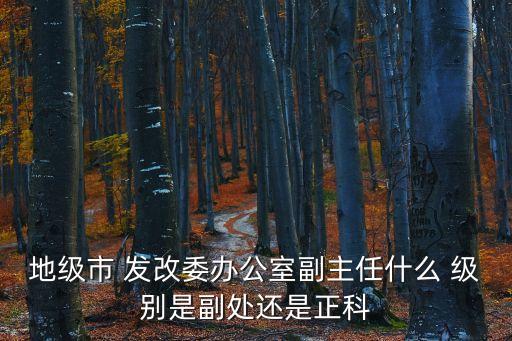 地級市 發改委辦公室副主任什么 級別是副處還是正科