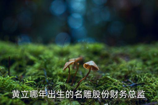 黃立哪年出生的名雕股份財務總監