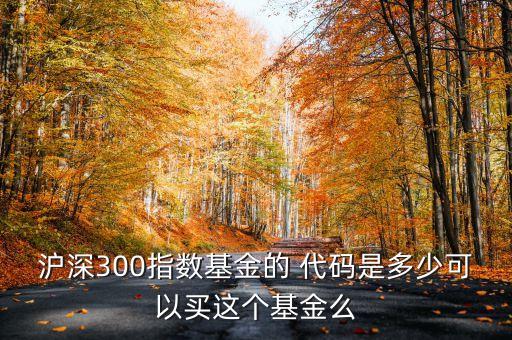滬深300指數基金的 代碼是多少可以買這個基金么