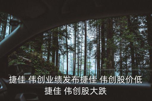捷佳 偉創業績發布捷佳 偉創股價低捷佳 偉創股大跌