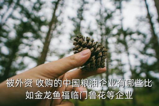 被外資 收購的中國糧油企業有哪些比如金龍魚福臨門魯花等企業