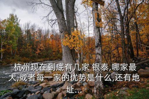  杭州現在到底有幾家 銀泰,哪家最大,或者每一家的優勢是什么,還有地址...