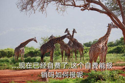 ...現在已經自費了,這個自費能報銷嗎如何報呢