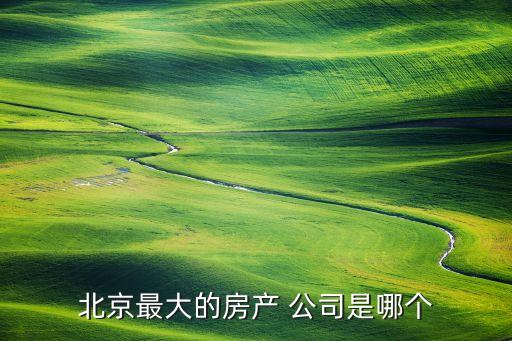 北京最大的房產 公司是哪個