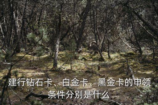  建行鉆石卡、白金卡、黑金卡的申領條件分別是什么