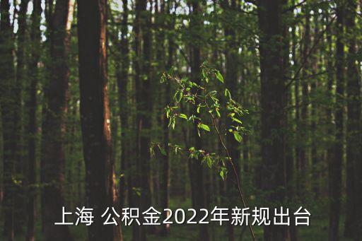  上海 公積金2022年新規出臺