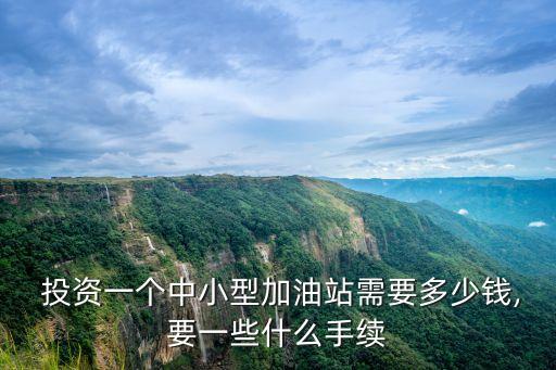  投資一個中小型加油站需要多少錢,要一些什么手續