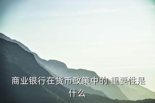 商業銀行流動性的重要性,央行向商業銀行提供流動性