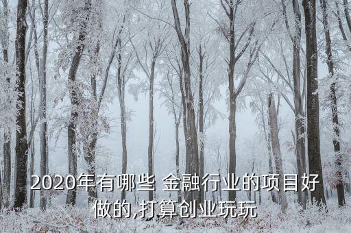 2020年有哪些 金融行業的項目好做的,打算創業玩玩