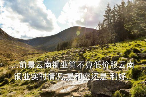 ...前景云南銅業算不算低價股云南銅業實時情況,是利空還是 利好...