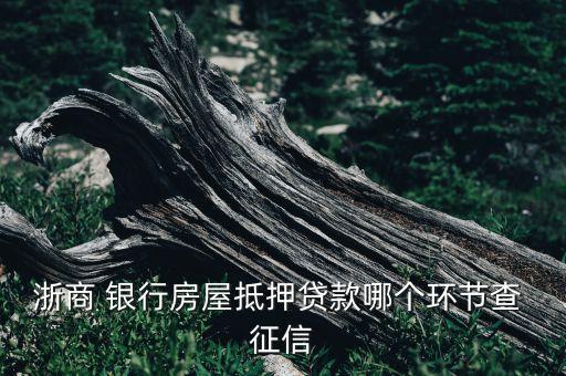 浙江銀行征信典型,征信浙江網商銀行股份有限公司