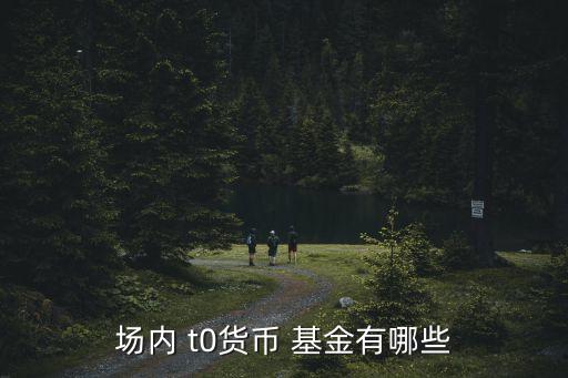 t0基金手續費,t0交易的ETF手續費