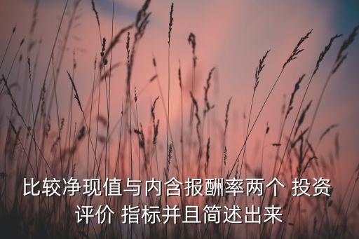 比較凈現值與內含報酬率兩個 投資 評價 指標并且簡述出來