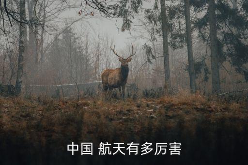 航天科工支撐基金,張天明 航天科工基金